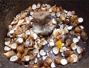 Coconut smashing