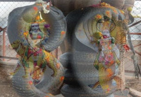 Rahu Ketu remedies