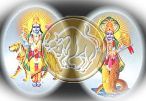 Rahu Ketu Transit for Taurus