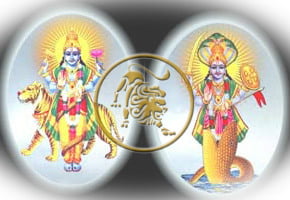 Rahu Ketu transit 2019 for Leo