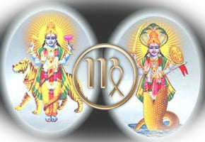 Rahu Ketu transit 2019 for Virgo